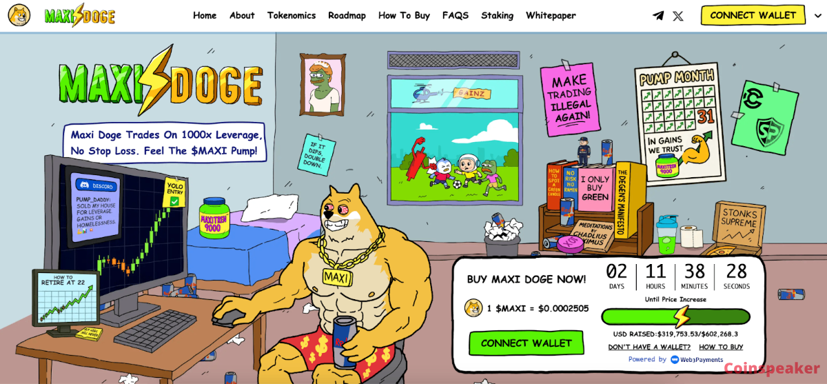 maxi doge home page - when is the maxi doge launch date