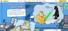 What Is Maxi Doge?