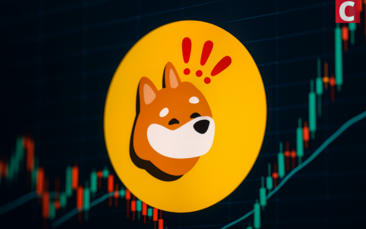 Nasdaq Firm Safety Shot Stock Falls 50% After It Launches BONK Treasury