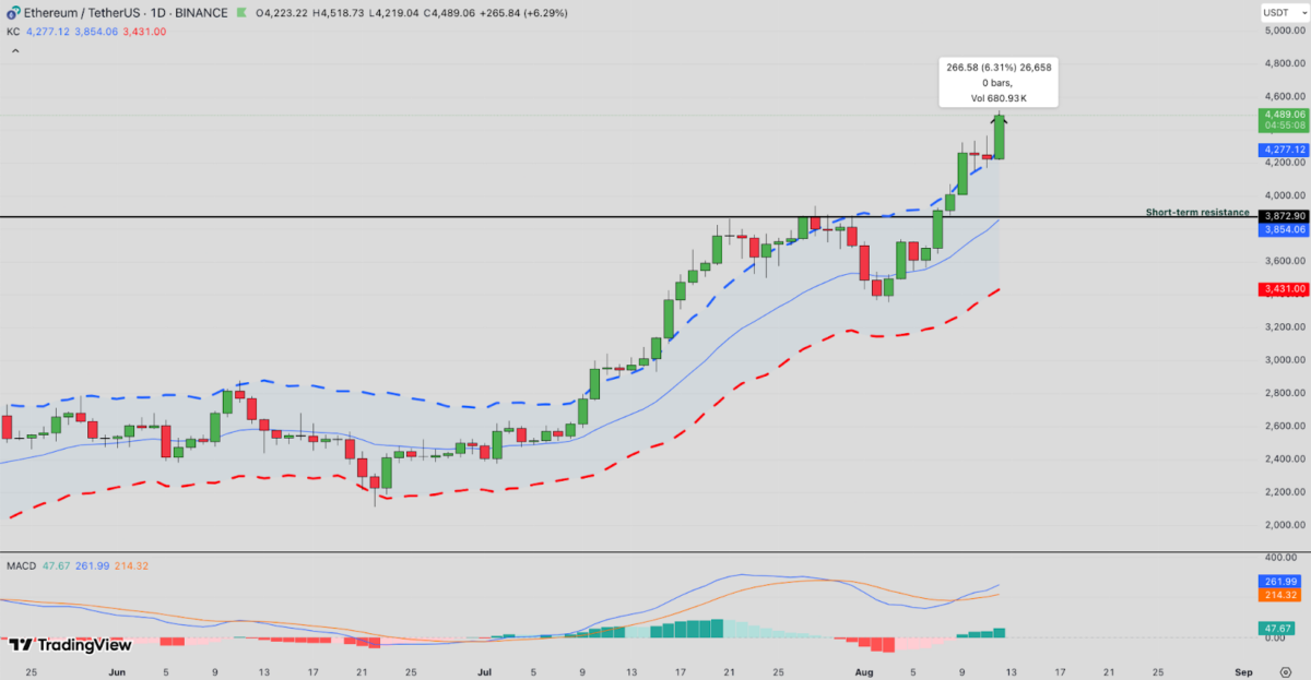 Ethereum Price Forecast | 24H ETHUSD Chart | TradingView