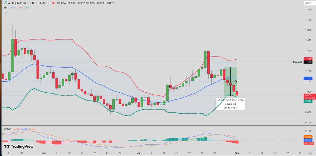  TradingView