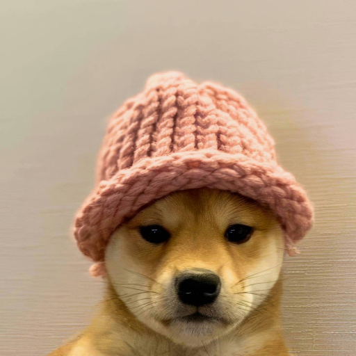 Image source: @ordcity on X. A dog wearing a pink knit cap.