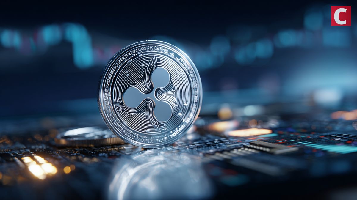 Can You Become Millionaire With XRP? Whales Grab 320M XRP
