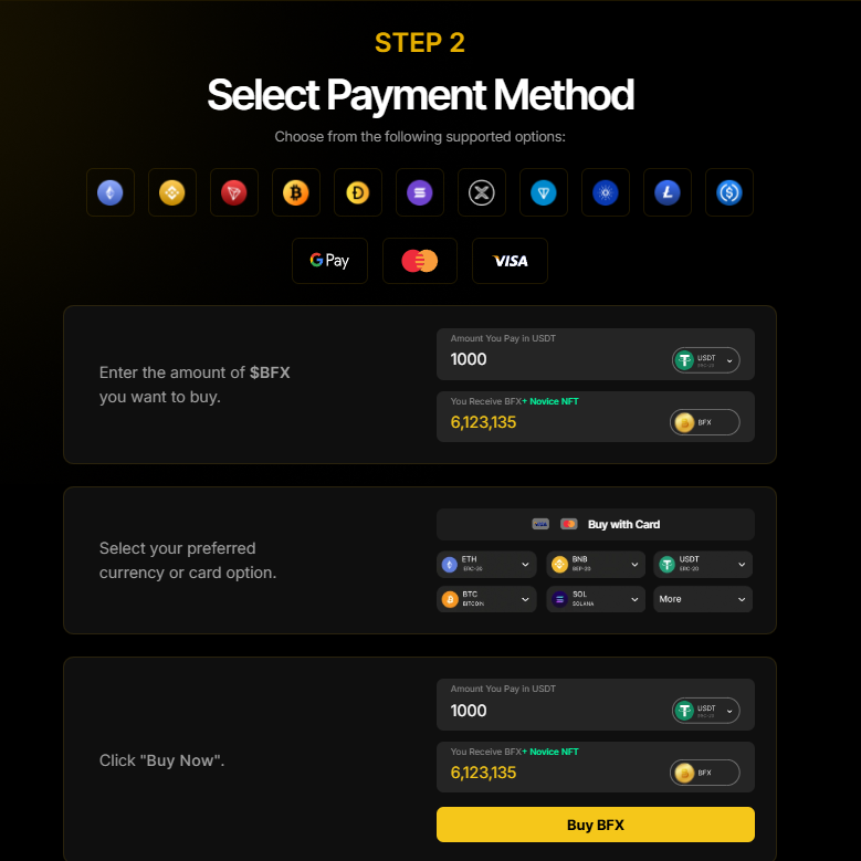 A screen prompting the user to select the payment method to purchase BlockchainFX. Source: BlockchainFX