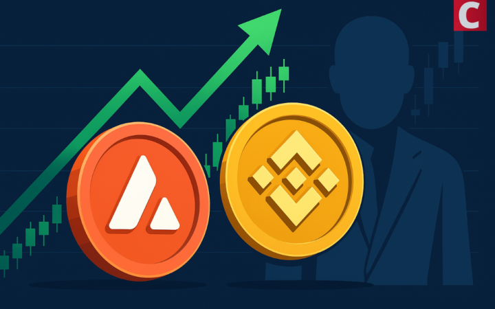 Altcoin Spotlight: AVAX and BNB Gain Massive Institutional Backing