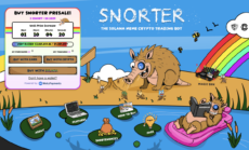 Snorter meme coin presale page with countdown timer, buy with card or crypto buttons, tokenomics and how to buy sections, Solana trading bot Web3Payments integration