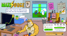 maxi doge presale