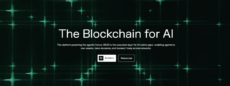 near protocol website