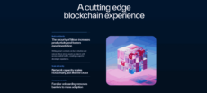 sui website