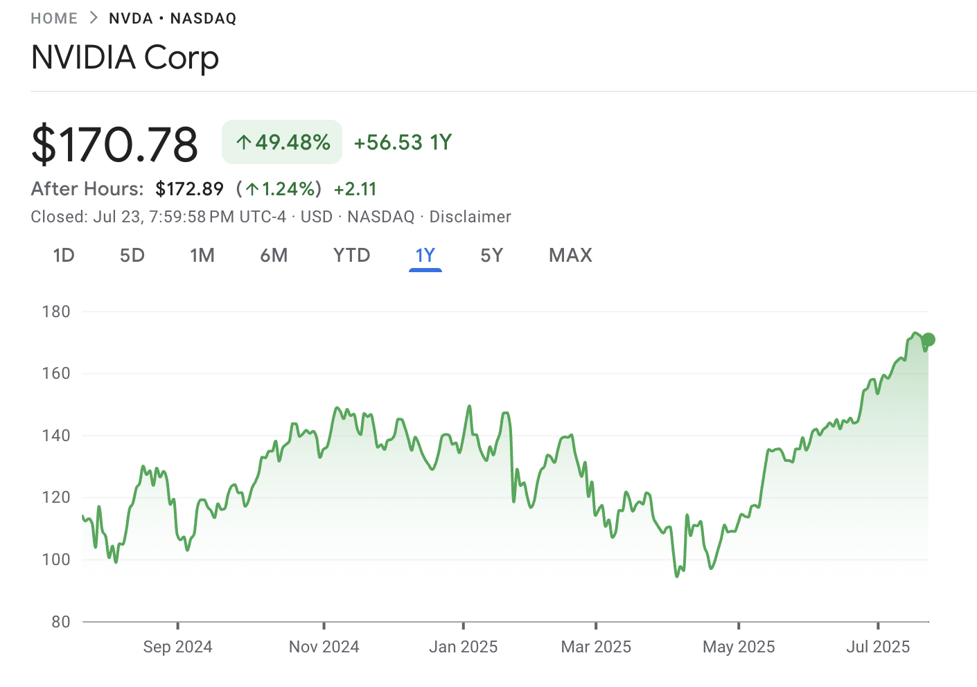 NVIDIA Corp. stock 12-month performance. Source: Google Finance