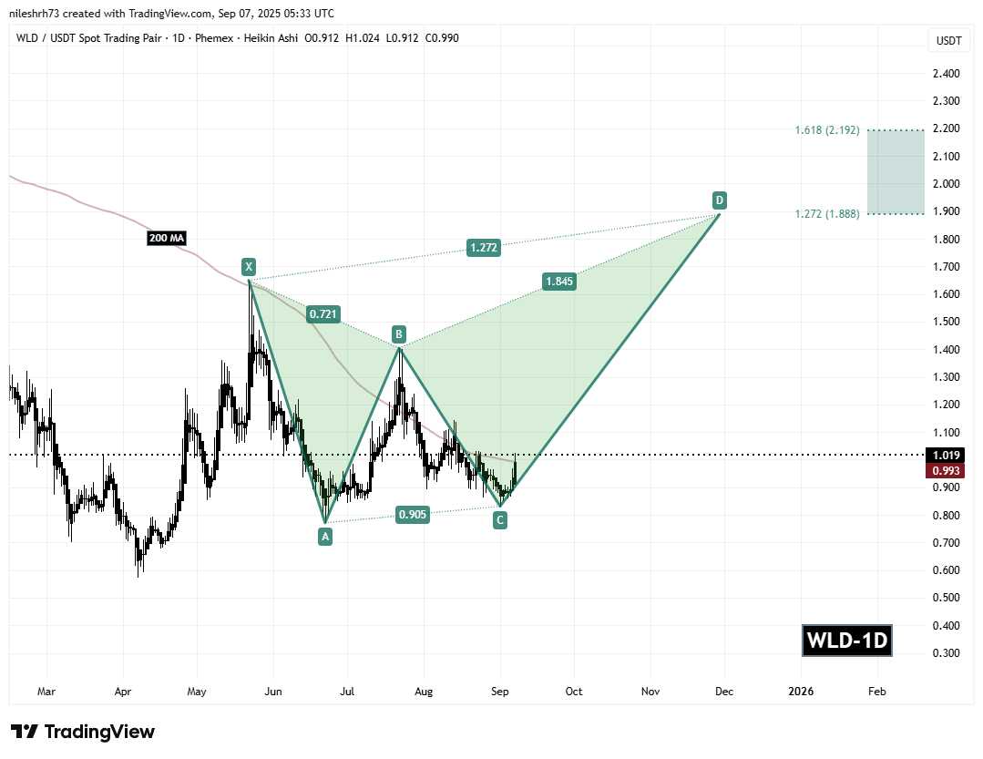 WLD price in a butterfly harmonic pattern | Source: TradingView