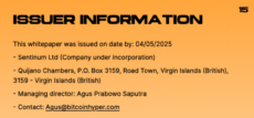 Issuer information of Bitcoin Hyper