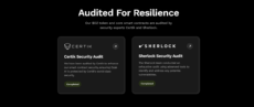 Ozak AI homepage detailing security audits