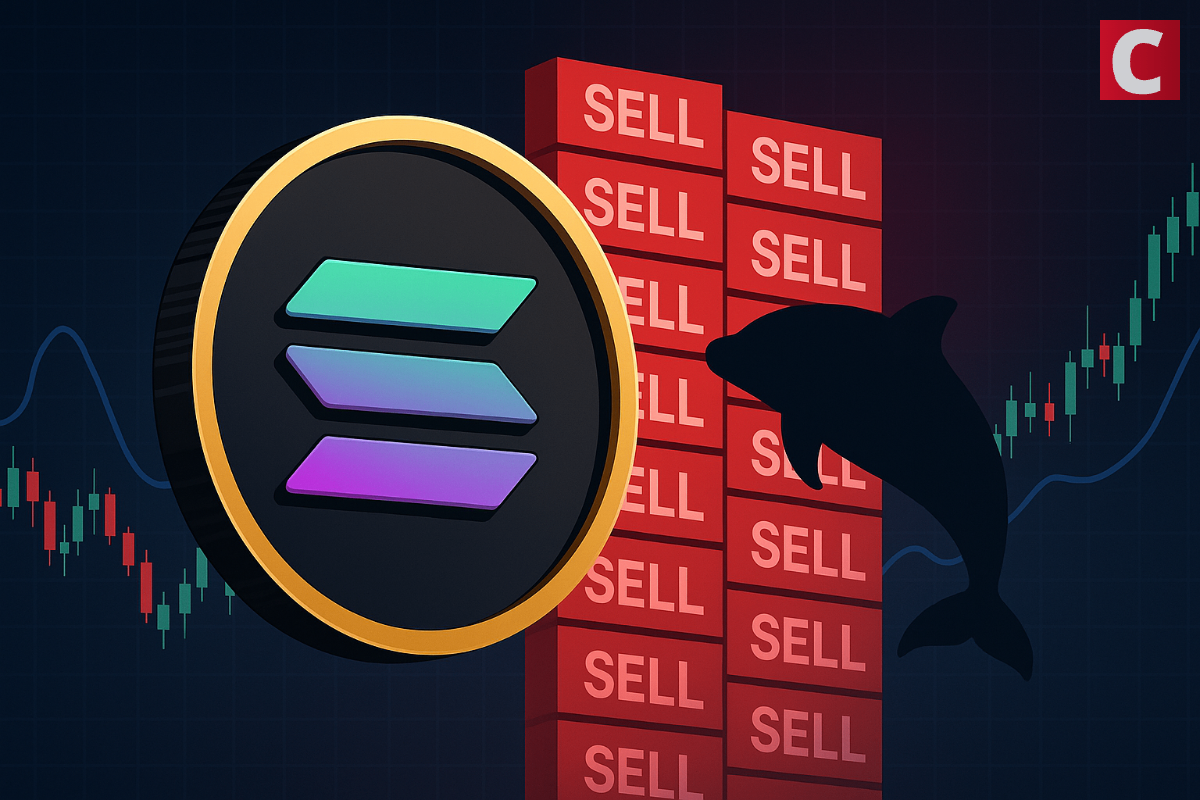 Solana Faces Big Sell Wall as Whale Activity Rises