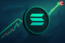 Solana Price Eyes Strong Breakout With 100% Upside Amid Strong SOL Whale Activity