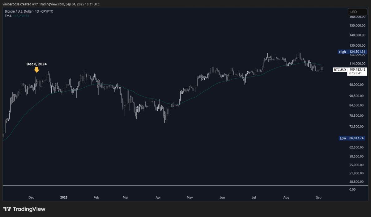 Bitcoin 1D historical price chart against the US dollar, December 6, 2024, highlighted | Source: TradingView