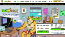maxi doge presale page