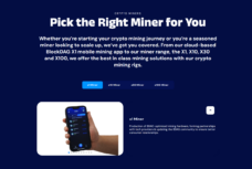 BlockDAG's miner selection