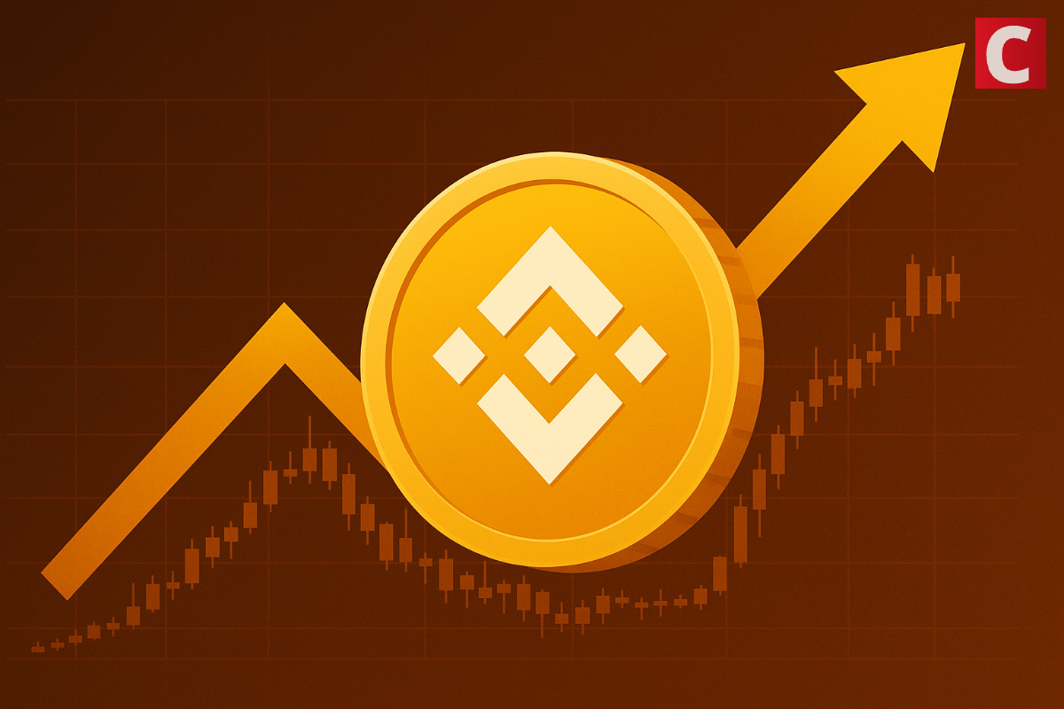 China Renaissance Eyes $600M BNB Treasury, YZi Joins In