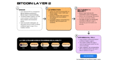 Diagram explaining the Layer 2 project Bitcoin Hyper, one of the fastest-growing coins
