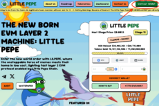 Little Pepe website homepage with baby Pepe mascot character, presale widget, and tokenomics information