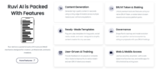 Ruvi AI features explained