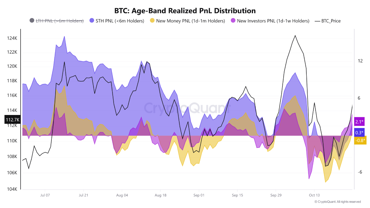 Bitcoin age-band realized profit and loss distribution. | Source: CryptoQuant
