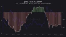 XRP Whale Flows | Source: CryptoQuant