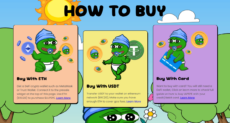 How to buy Little Pepe explainer from its website