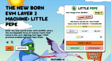 homepage of the Little Pepe presale