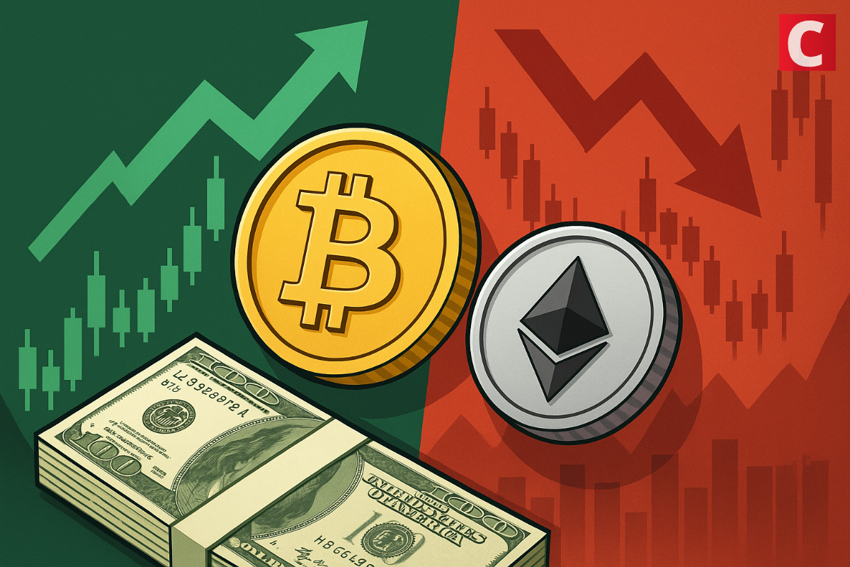 While Retail Panicked, Smart Money Grabbed These Coins During the Dip