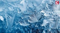 T3 FCU Task Force Freezes $300M in Illicit Crypto, Backed by Tether and Tron