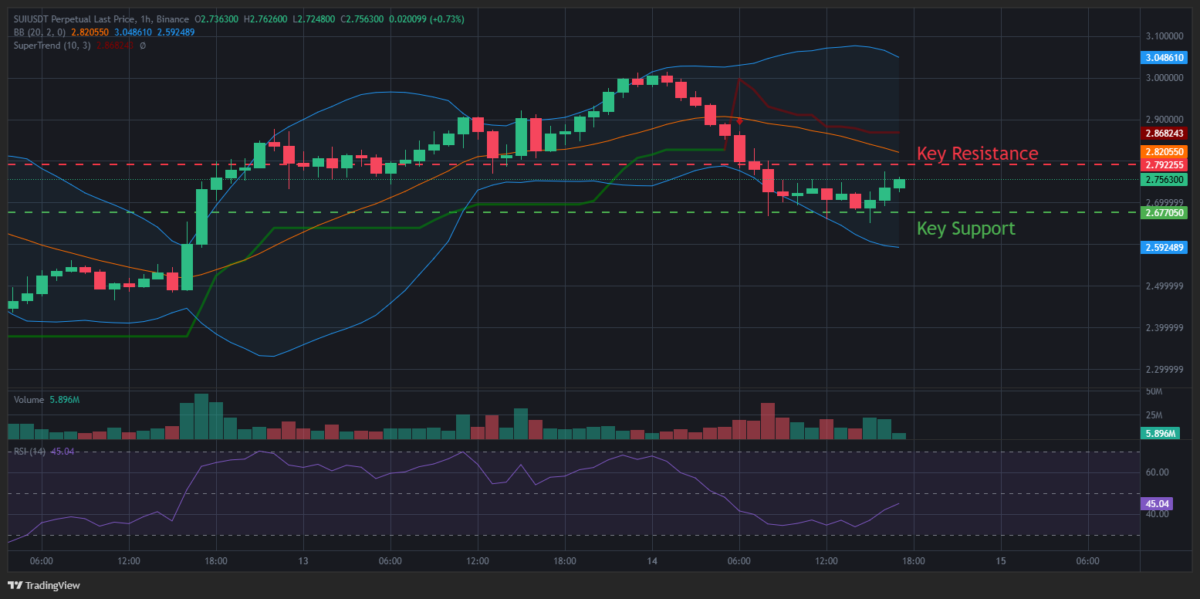 SUI/USDT 1H Chart | Source: TradingView
