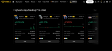 WEEX copy trading