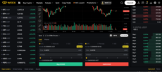 WEEX desktop trading platform