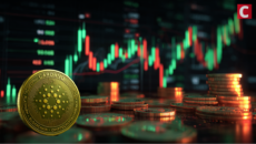 Cardano Foundation Gets Clearance to Pursue Top Level Generic Domains