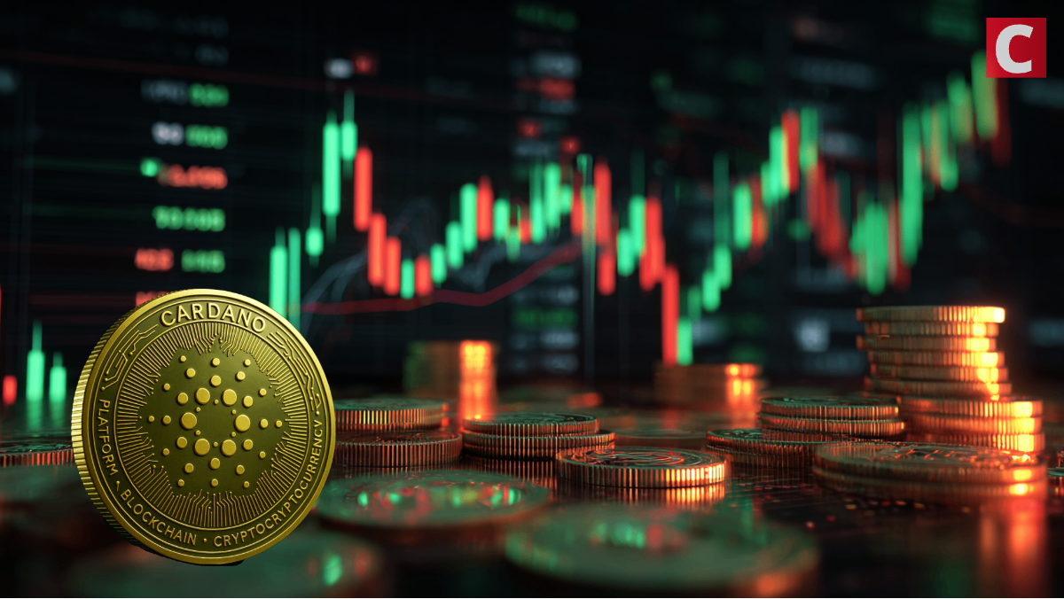 Cardano Foundation Gets Clearance to Pursue Top Level Generic Domains