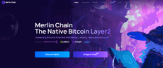 homepage of the crypto page Merlin Chain
