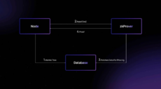 Chart explaining Merlin Chain's ZK-Rollup network from its documentation