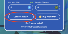 Pepeto purchase interface with Connect Wallet button circled in red, payment options for ETH and BNB visible