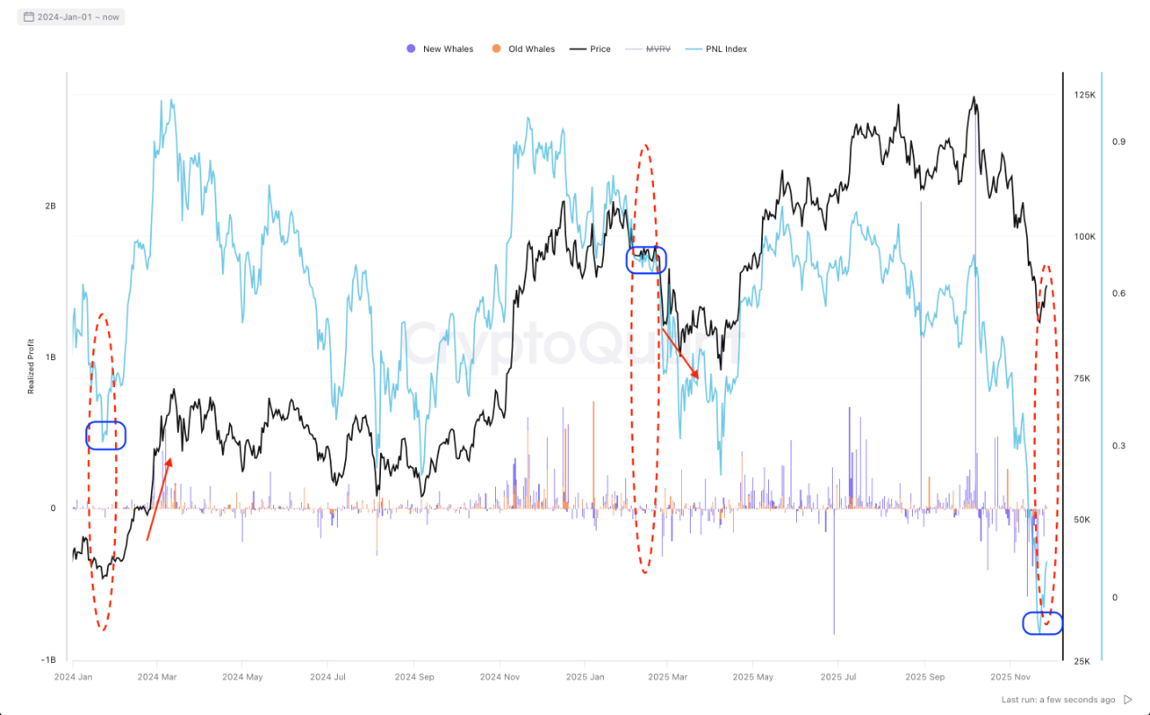 Bitcoin new whales vs old whales and PNL Index | Source: CryptoQuant