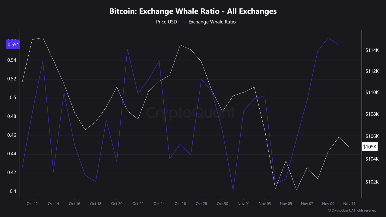 Bitcoin exchange whale ratio | Source: CryptoQuant