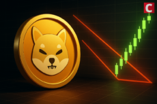 Shiba Inu Burn Rate Sinks 90% but Bullish Reversal Pattern Surfaces