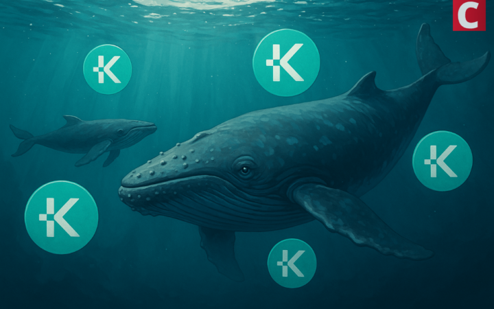 Kaspa Whales Are Loading Up Millions: Bull Run Ahead?