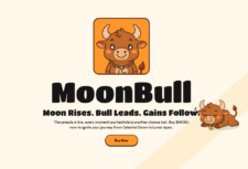 MoonBull homepage, explaining the basics of the projects