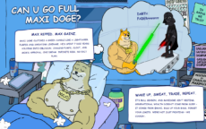 Homepage of Maxi Doge, explaining the culture of the project