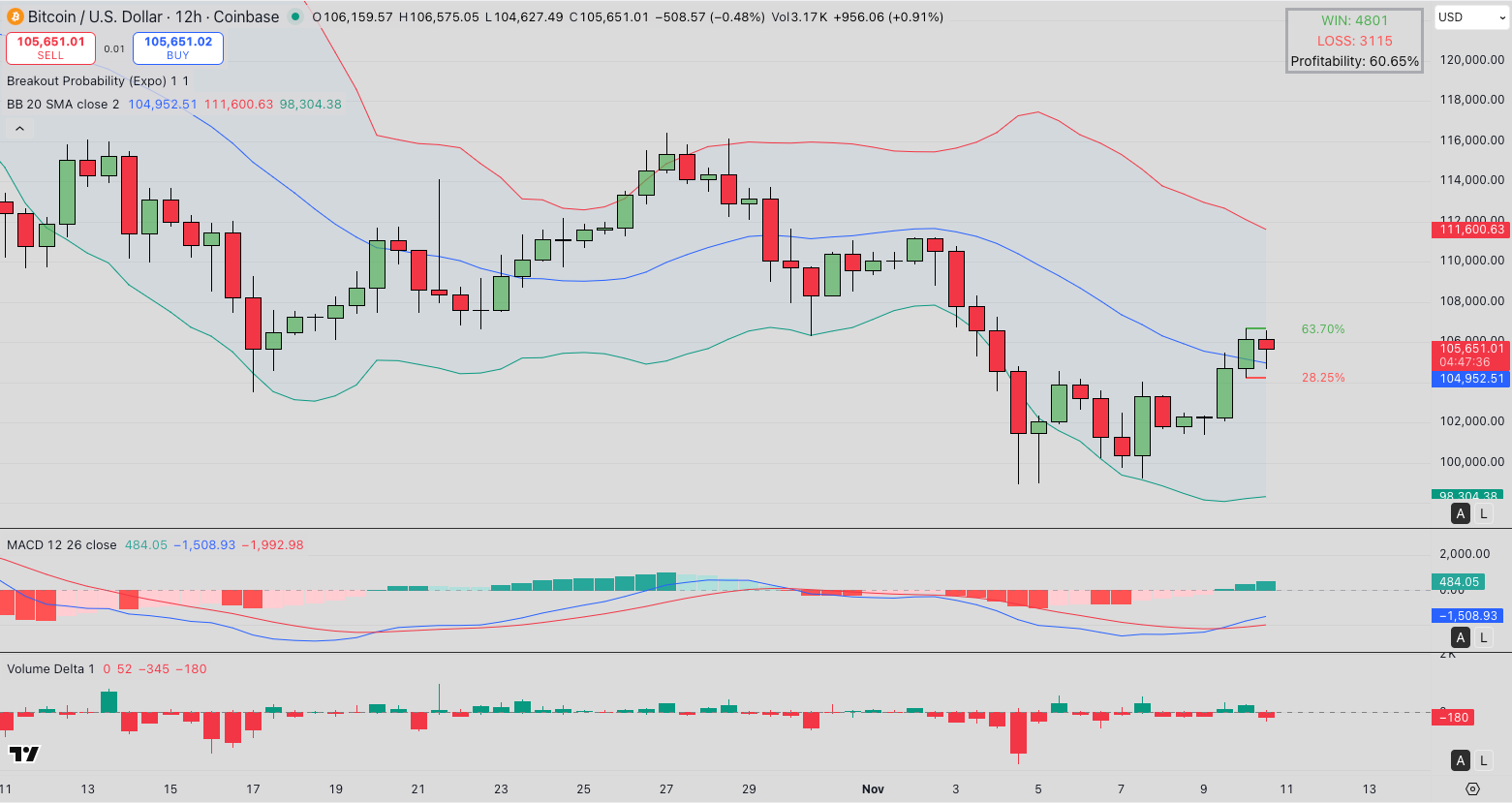 Bitcoin (BTC) price forecast | Source: TradingView