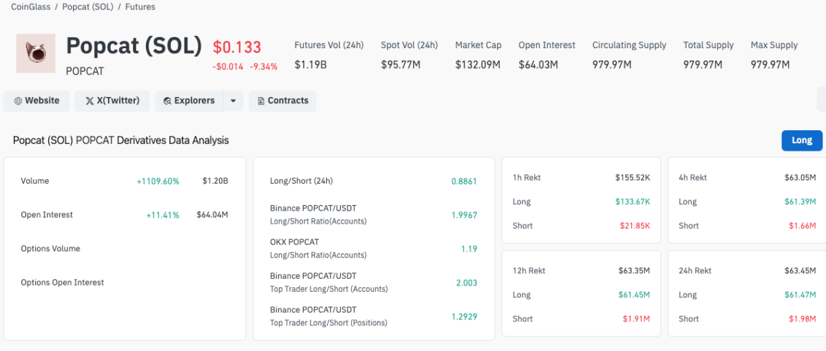 Popcat derivatives market analysis | Source: Coinglass