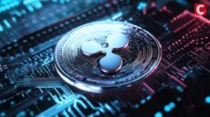 XRP Whales Are Ready for ETF Launch, Order Data Hints
