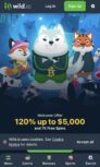 Wild.io Casino